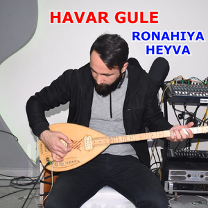 Havar Gule Halay