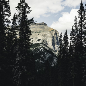 Darpaish Ho Taiba Ka Safar