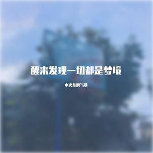 醒来发现一切都是梦境