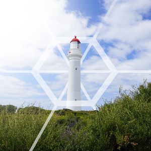 北极圈的长毛狗