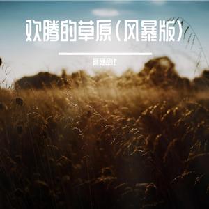 欢腾的草原（风暴版）