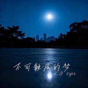不可触及的梦