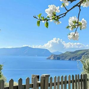 我们都曾用力爱过(抒情版)