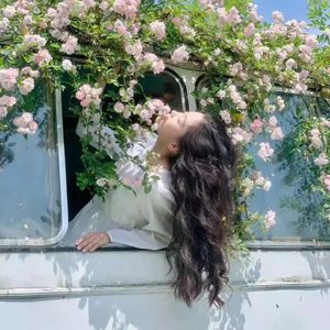 【Free】“Sunset”--【pop punk&bixby&starfall Type】