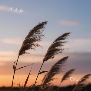 黄昏的风