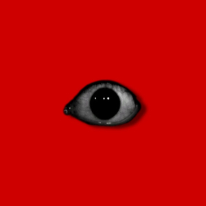 ZOIO