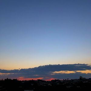 なだめるような歌を歌う小さな甘い無料の鳥と私のゆっくりリラックスしたアコースティックギター