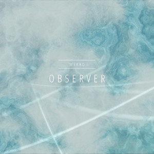 Observer