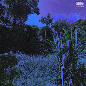 lilo and stitch (outro)