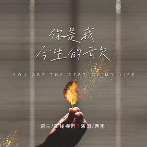 你是我今生的亏欠