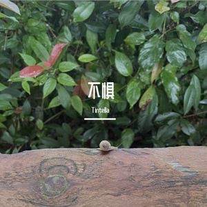 不怕风雨不怕痛