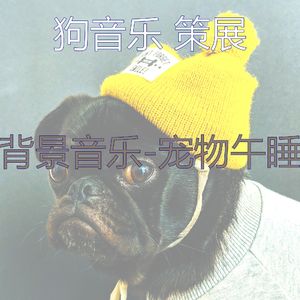 精力充沛(狗睡觉)