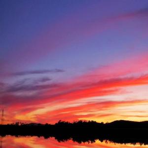 无言那醇酒只饮一口