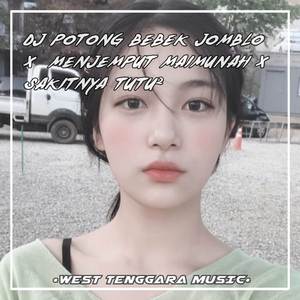 DJ POTONG BEBEK JOMBLO X MENJEMPUT MAIMUNAH MAIMUNAH X SAKITNYA TUTU²