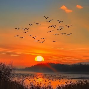 午夜月光下的梦幻之境