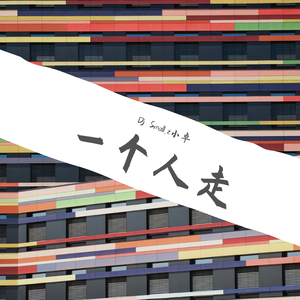 刘佳-一个人走（Dj Small.z小卓 / Dj Lftty.凌风 remix）