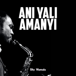 Namugenyi (Remix)