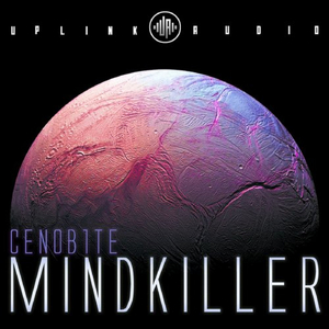 Mindkiller (Original Mix)