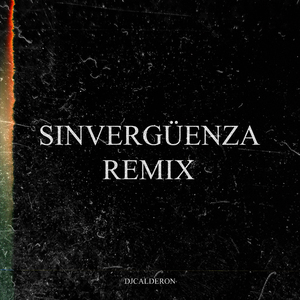 SINVERGÜENZA (Remix)