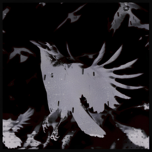 Küllerimden Doğdum