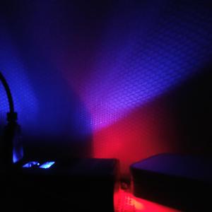 she's on my bed【FREE】