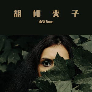 胡桃夹子
