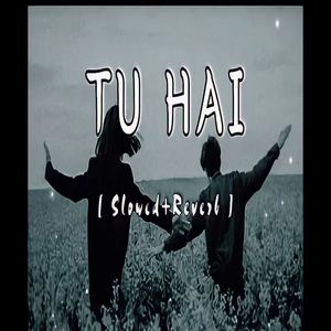 Tu Hai