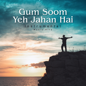 Gum Soom Yeh Jahan Hai (Instrumental Music Hits)
