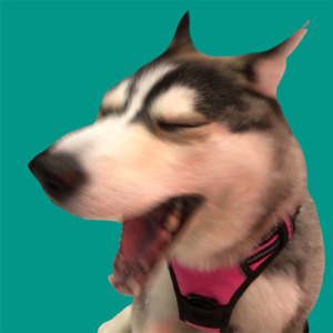 くうき