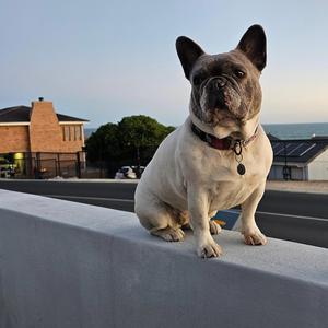 Cape Game Skin (Radio Edit)