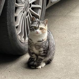 生活（Prod. DropoutBeats）