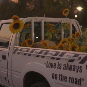 我喜欢上你时的内心活动