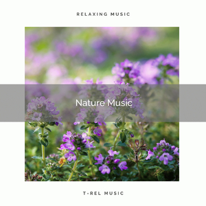 Crystal Energy of Mother Earth Music pt. 1
