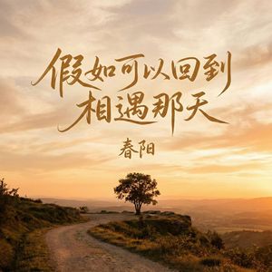 假如可以回到相遇那天