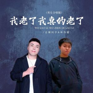 我老了我真的老了 (男生合唱版) 伴奏版