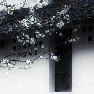 临渊（人和人有的人像块冰）