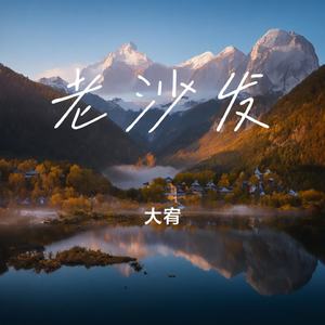 老沙发