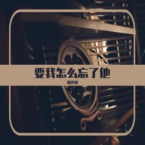 要我怎么忘了他