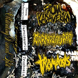 TRAUMATISMO RECTAL FATAL