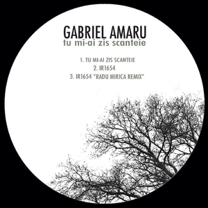 IR1654 (Radu Mirica Remix)