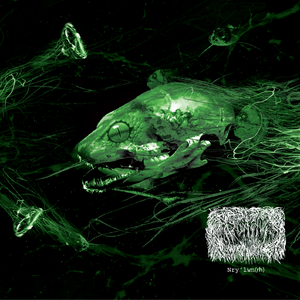 ïLRivgQha X'eth'kdep