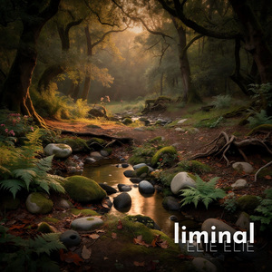 Liminal