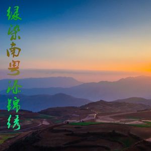 好大一棵树 (Live)