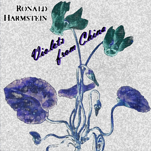 Hookah In A Coffeeshop