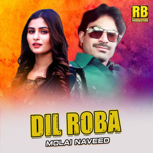 Dil Roba