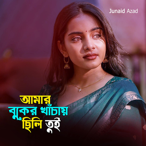 আমার বুকের খাঁচায় ছিলি তুই