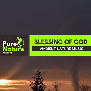 Humming of the Yellowbreasted Chat