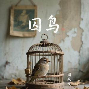 囚鸟