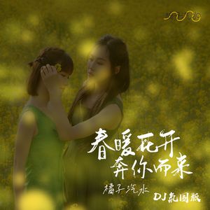 春暖花开奔你而来 (DJ版)