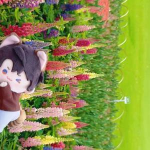 我和你 (Cover 唐宁)